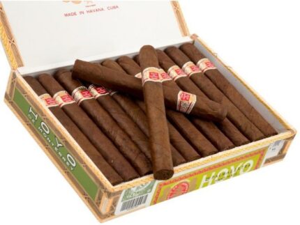 Hoyo De Monterrey Palmas Extra/25